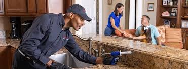 Best Snake Removal  in Swift Trail Junction, AZ