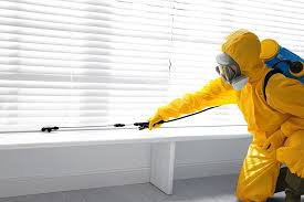 Emergency Pest Control in Swift Trail Junction, AZ